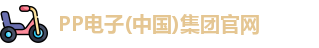pp电子
